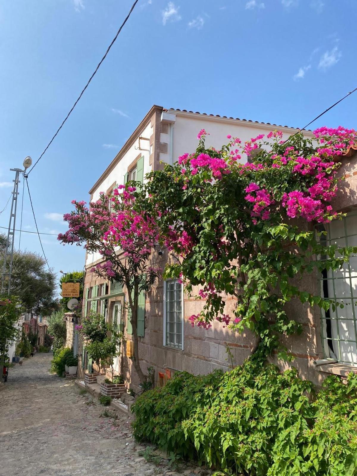 מלון Ayvalı Cunda Ilios מראה חיצוני תמונה